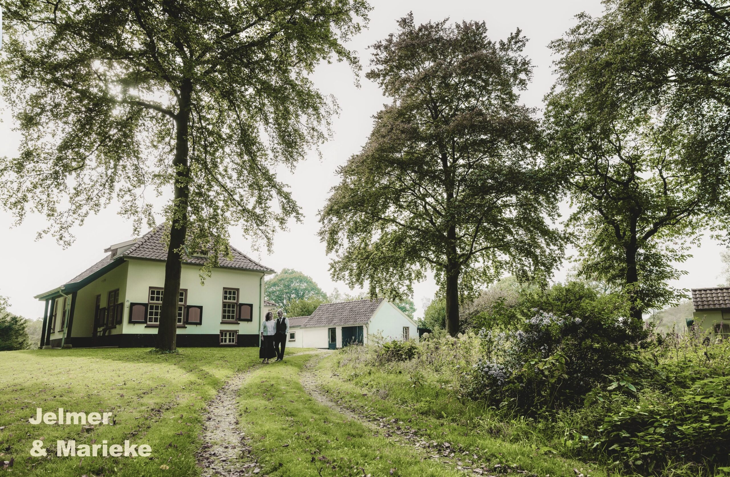 truffelreis, truffelhealing nijmegen